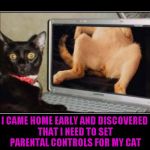 Do you know what your pet is doing when you're at work? | I CAME HOME EARLY AND DISCOVERED THAT I NEED TO SET PARENTAL CONTROLS FOR MY CAT | image tagged in naughty cat,memes,funny,caught in the act,animals,cats | made w/ Imgflip meme maker