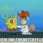 You're One Top Notch Feller! | YOU'RE ONE TOP NOTCH FELLER! | image tagged in sandy cheeks - i got some remedies,memes,spongebob squarepants,sandy cheeks cowboy hat,sandy cheeks,texas girl | made w/ Imgflip meme maker