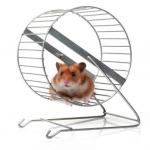 Hamster wheel meme