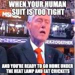 He's had better days... | WHEN YOUR HUMAN SUIT IS TOO TIGHT; AND YOU'RE READY TO GO HOME UNDER THE HEAT LAMP AND EAT CRICKETS | image tagged in bill clinton,hillary clinton,trump,emails,alien,lizard | made w/ Imgflip meme maker