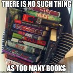 library | THERE IS NO SUCH THING; AS TOO MANY BOOKS | image tagged in library | made w/ Imgflip meme maker