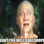 Kung Fu Master Po | I TAUGHT YOU WELL GRASSHOPPAH! | image tagged in kung fu master po | made w/ Imgflip meme maker