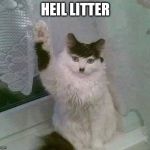 Hitler Cat | HEIL LITTER | image tagged in hitler cat,heil,hitler,heil hitler,heil litter,litter | made w/ Imgflip meme maker