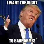 trump small hands | I WANT THE RIGHT; TO BARE ARMS! | image tagged in trump small hands | made w/ Imgflip meme maker