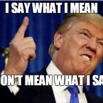Trump about to lose it | I SAY WHAT I MEAN; I DON'T MEAN WHAT I SAY | image tagged in trump about to lose it | made w/ Imgflip meme maker