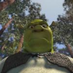 Shrek angry meme