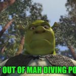 That explains it... | GET OUT OF MAH DIVING POOL! | image tagged in shrek angry,memes,sport,green diving pool,rio olympics,olympics | made w/ Imgflip meme maker