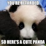 Cute Panda | YOU'RE RETARDED; SO HERE'S A CUTE PANDA | image tagged in cute panda | made w/ Imgflip meme maker