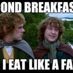 LOTR | SECOND BREAKFAST?! YEAH I EAT LIKE A FAT PIG | image tagged in lotr | made w/ Imgflip meme maker