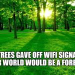 If Trees Gave off Wifi Signals... | IF TREES GAVE OFF WIFI SIGNALS, OUR WORLD WOULD BE A FOREST... | image tagged in nature,trees,internet,memes,wifi,world | made w/ Imgflip meme maker