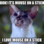 It's Mouse On A Stick! | LOOK! IT'S MOUSE ON A STICK! I LOVE MOUSE ON A STICK | image tagged in lucky,memes,siamese cat,stuart little | made w/ Imgflip meme maker