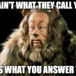 cowardly lion | IT AIN'T WHAT THEY CALL YOU; IT'S WHAT YOU ANSWER TO. | image tagged in cowardly lion | made w/ Imgflip meme maker