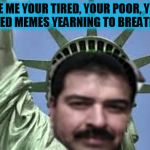 Raydog For President ( A smerkin Template) | GIVE ME YOUR TIRED, YOUR POOR, YOUR HUDDLED MEMES YEARNING TO BREATHE FREE | image tagged in raydog for president,raydog,president,funny meme,statue of liberty,inspirational quote | made w/ Imgflip meme maker