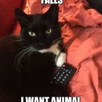 Remote Cat | ENOUGH GRAVITY FALLS; I WANT ANIMAL PLANET | image tagged in remote cat | made w/ Imgflip meme maker