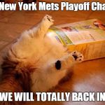 catboxcat | 2016 New York Mets Playoff Chances; WE WILL TOTALLY BACK IN | image tagged in catboxcat | made w/ Imgflip meme maker