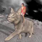 MGMT cat rider