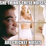 Animal House | SHE THINKS THESE NOISES; ARE CRICKET NOISES | image tagged in peeping belushi,memes | made w/ Imgflip meme maker