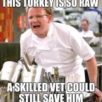 gordon ramsay | THIS TURKEY IS SO RAW; A SKILLED VET COULD STILL SAVE HIM | image tagged in gordon ramsay | made w/ Imgflip meme maker