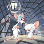 pinky and brain