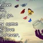 Butterflies | If you love them, let them go. If they come back, love them forever. | image tagged in butterflies | made w/ Imgflip meme maker