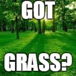 Grass and trees | GOT; GRASS? | image tagged in grass and trees | made w/ Imgflip meme maker