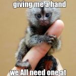 Paying Kindness Forward | ~J; Bless You for giving me a hand; we All need one at some point in our lives | image tagged in monkeys memes,so true memes,kindness,a helping hand | made w/ Imgflip meme maker