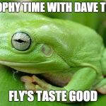 frogs | PHILOSOPHY TIME WITH DAVE THE FROG; FLY'S TASTE GOOD | image tagged in frogs | made w/ Imgflip meme maker