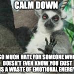 Calm down! | CALM DOWN; SO MUCH HATE FOR SOMEONE WHO DOESN'T EVEN KNOW YOU EXIST IS A WASTE OF EMOTIONAL ENERGY | image tagged in calm down | made w/ Imgflip meme maker