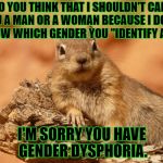 Almost didn't use my own template for Template Quest... | SO YOU THINK THAT I SHOULDN'T CALL YOU A MAN OR A WOMAN BECAUSE I DON'T KNOW WHICH GENDER YOU "IDENTIFY AS?"; I'M SORRY YOU HAVE GENDER DYSPHORIA. | image tagged in memes,social expectations squirrel,funny,idiots,animals | made w/ Imgflip meme maker