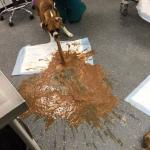 Dog vomiting chocolate