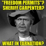 What in tarnation | "FREEDOM PERMITS"? SHERIFF CARPENTER? WHAT IN TARNATION? | image tagged in what in tarnation | made w/ Imgflip meme maker
