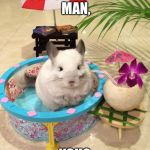 You may be chill, but you'll never be Chinchilla Chinchillin' in the pool with whatever drink that is chill. | JUST CHINCHILLIN MAN, YOU? | image tagged in chinchilla chinchillin,dank,relax,just chillin' | made w/ Imgflip meme maker