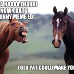 When Between Races | HA HA HAAAA EHAHA! NOW THATS A FUNNY MEME ED! TOLD YA I COULD MAKE YOU LOL | image tagged in screaming angry horse,memes,memes about memes | made w/ Imgflip meme maker