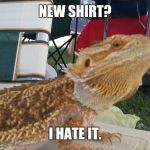 Hater Lizard | NEW SHIRT? I HATE IT. | image tagged in hater lizard | made w/ Imgflip meme maker