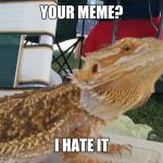 Hater Lizard saw your Meme | YOUR MEME? I HATE IT | image tagged in hater lizard,memes | made w/ Imgflip meme maker