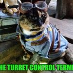 Fallout RayCat | TO THE TURRET CONTROL TERMINAL! | image tagged in fallout raycat,memes | made w/ Imgflip meme maker
