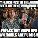 pelosi | NANCY PELOSI POSTED THE ADDRESSES OF PRIVATE CITIZENS WHO OWNED GUNS; FREAKS OUT WHEN HER OWN EMAILS ARE PUBLISHED | image tagged in pelosi,scumbag | made w/ Imgflip meme maker