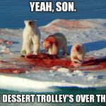 Coke Bears | YEAH, SON. THE DESSERT TROLLEY'S OVER THERE | image tagged in coke bears | made w/ Imgflip meme maker