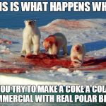 Coke Bears | THIS IS WHAT HAPPENS WHEN; YOU TRY TO MAKE A COKE A COLA COMMERCIAL WITH REAL POLAR BEARS | image tagged in coke bears | made w/ Imgflip meme maker