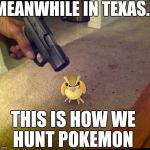 Texas pokemon  | MEANWHILE IN TEXAS... THIS IS HOW WE HUNT POKEMON | image tagged in texas,guns,funny,pokemon,wtf | made w/ Imgflip meme maker