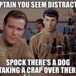 Three dimensional chess requires concentration | CAPTAIN YOU SEEM DISTRACTED; SPOCK THERE'S A DOG TAKING A CRAP OVER THERE | image tagged in kirk and spock play chess,memes,star trek | made w/ Imgflip meme maker