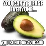 Avotruth | YOU CAN'T PLEASE EVERYONE.... YOU'RE NOT AN AVOCADO | image tagged in avocado | made w/ Imgflip meme maker