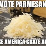 Parmesan | VOTE PARMESAN; MAKE AMERICA GRATE AGAIN | image tagged in parmesan | made w/ Imgflip meme maker