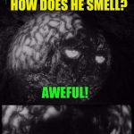 Brian and Chuck | BRAIN, MY DOG HAS NO NOSE. HOW DOES HE SMELL? AWEFUL! | image tagged in brian and chuck | made w/ Imgflip meme maker