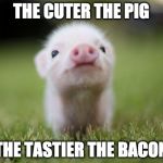 So cute. So tasty.  | THE CUTER THE PIG; THE TASTIER THE BACON | image tagged in piglet,bacon,pig,tasty | made w/ Imgflip meme maker