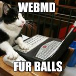 Determined to find cause  | WEBMD; FUR BALLS | image tagged in fact cat | made w/ Imgflip meme maker