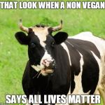 cows matter too | THAT LOOK WHEN A NON VEGAN; SAYS ALL LIVES MATTER | image tagged in cows,vegan,perspective | made w/ Imgflip meme maker
