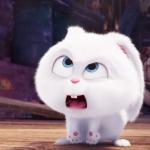 Snowball - The Secret Life of Pets meme