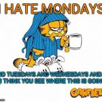 coffe garfield | I HATE MONDAYS; AND TUESDAYS AND WEDNESDAYS AND...... (I THINK YOU SEE WHERE THIS IS GOING) | image tagged in coffe garfield | made w/ Imgflip meme maker