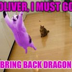 RayCat saves imgflip | OLIVER, I MUST GO; AND BRING BACK DRAGON KID! | image tagged in raycat save the world,memes,imgflip,dragon kid,starflightthenightwing | made w/ Imgflip meme maker